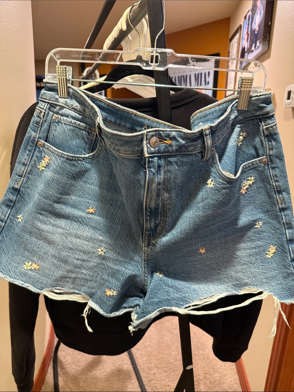 American Eagle Outfitters Light Blue Daisy Embroidered Denim Shorts